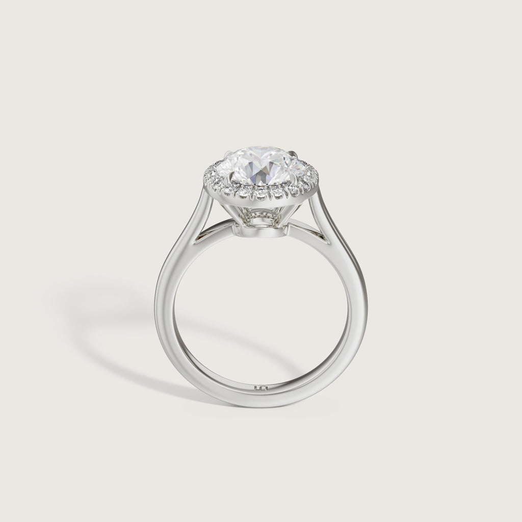 White_Gold_Platinum 