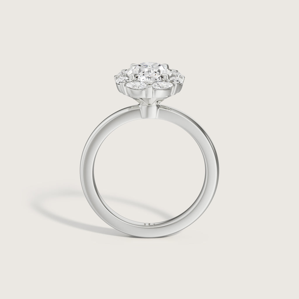 Louis Oval Halo