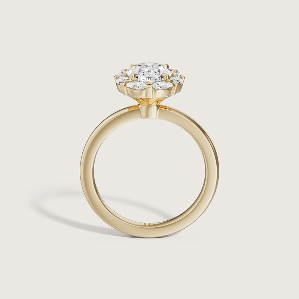 Louis Oval Halo